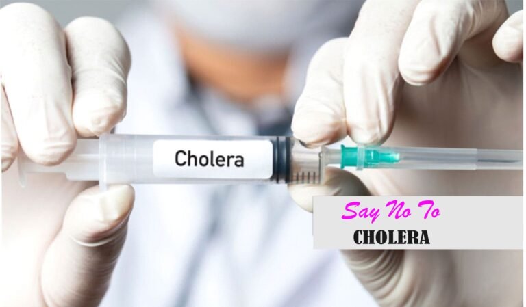 history of cholera outbreak in Nigeria